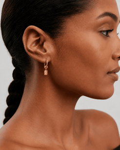 Silent Polaris Stainless Steel 18K Gold Plated Earrings