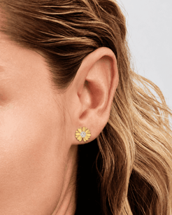 Meadow Light Stainless Steel 18K Gold Plated Earrings