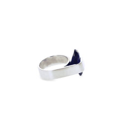 Sterling Silver 925 Ring Paris Kaye Signature Collection J00144